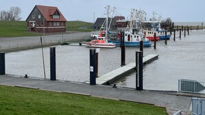 Un port avec des bateaux amarrés, un bâtiment rouge et une zone herbeuse.