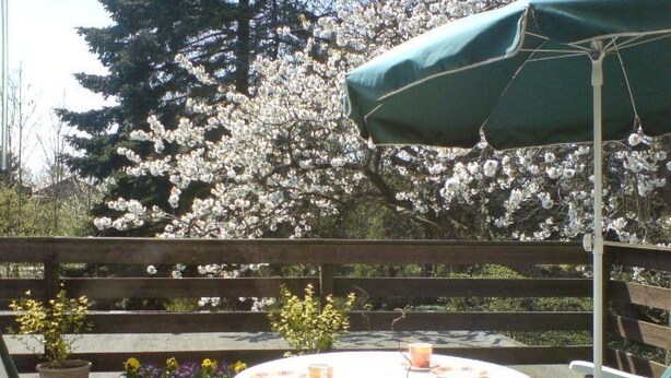 Eine Terrasse mit Tisch für zwei Personen, umgeben von weißen Stühlen und einem grünen Sonnenschirm.