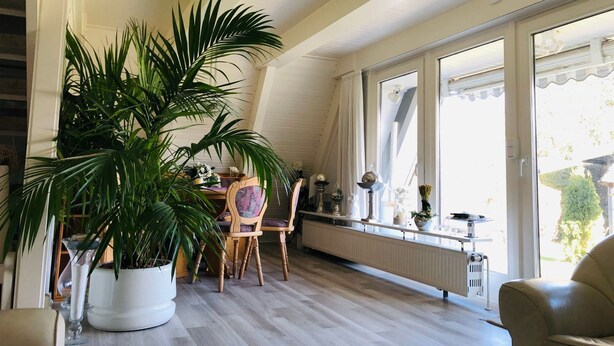 Une pièce spacieuse, agrémentée d’une grande plante en pot, d’une table à manger avec des chaises et offrant une vue dégagée grâce à de grandes fenêtres.
