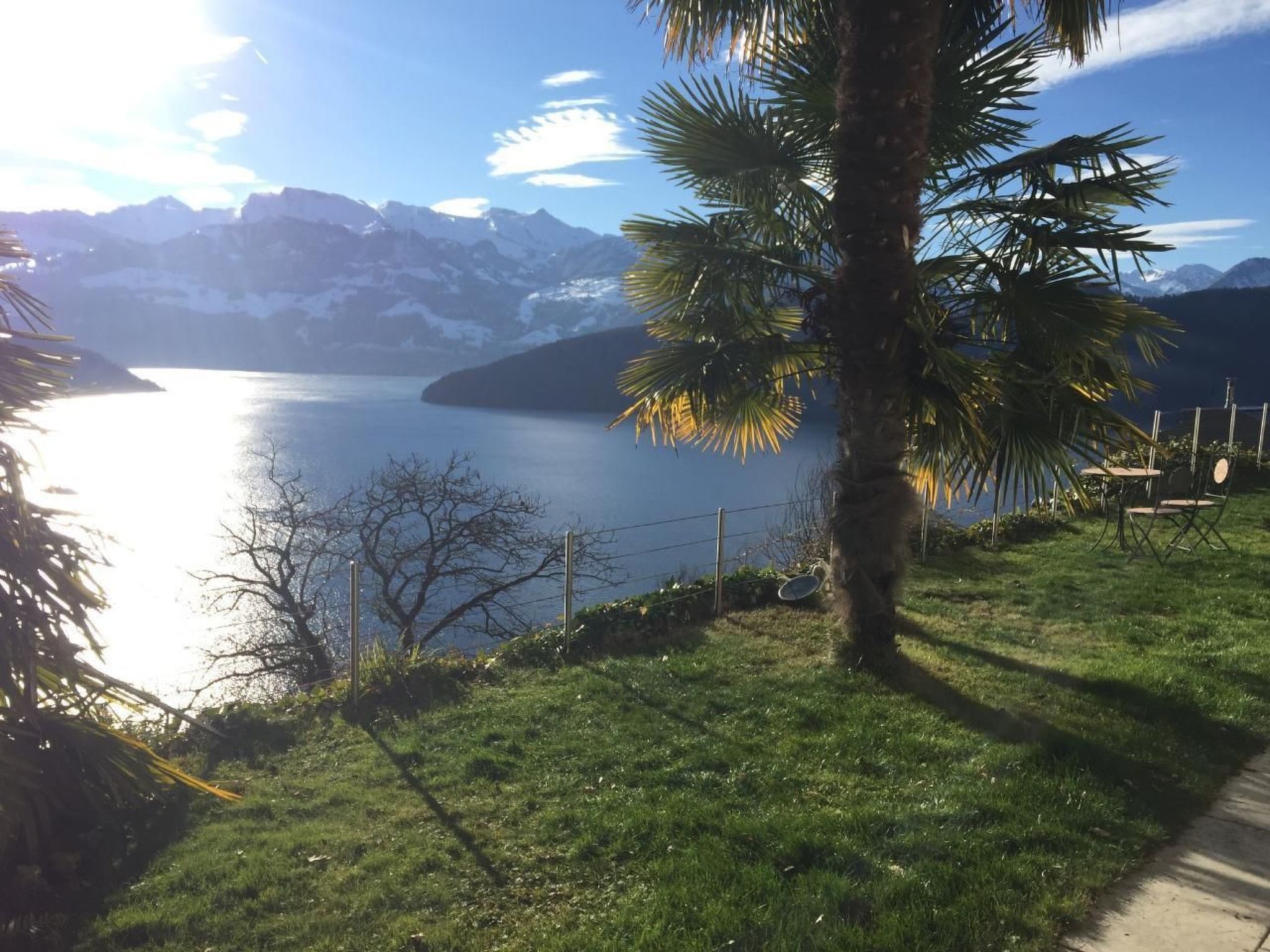 A view of a lake with mountains in the background, a palm tree, and a grassy area with a fence and a chair.