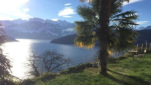 A view of a lake with mountains in the background, a palm tree, and a grassy area with a fence and a chair. - Apartment Weggis by Interhome (Weggis)
