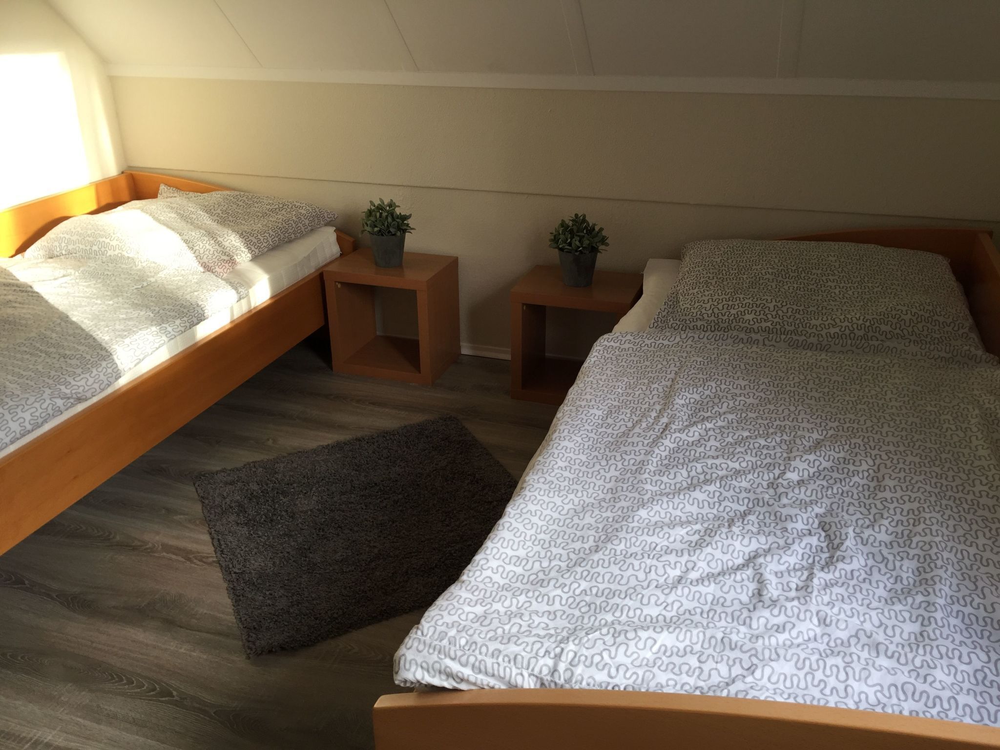 Asuntolan huone, jossa on kaksi erillistä sänkyä, pieni puinen yöpöytä, jossa on kasvi, ja tumma matto lattialla.