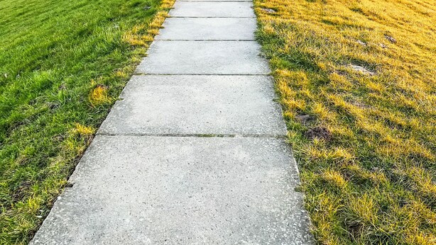 Ein Betonweg, der von grünen und gelben Grasflächen gesäumt wird.