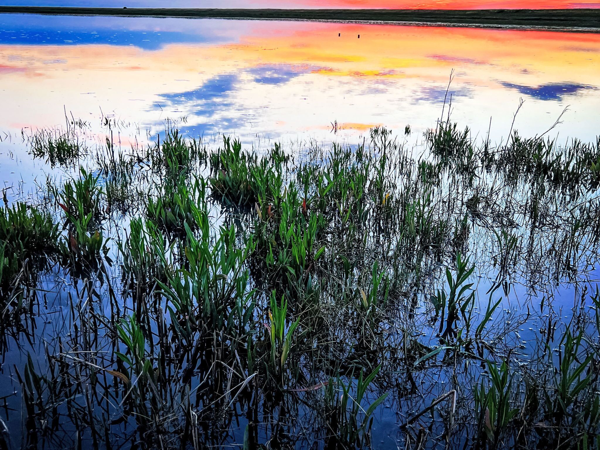 A natural landscape with water and vegetation.