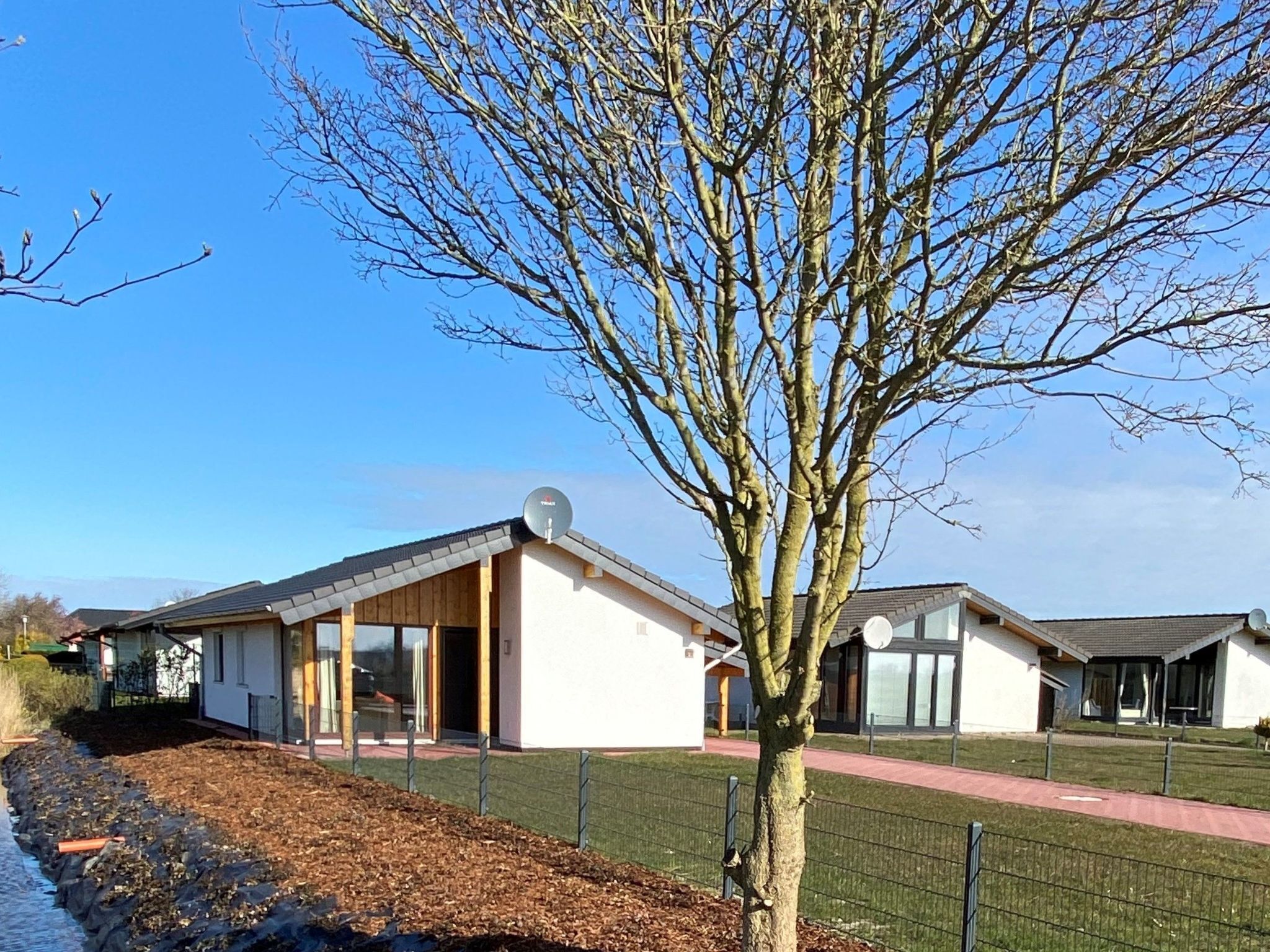 A row of modern, single-story buildings with large windows and a flat roof, surrounded by a well-maintained lawn and a tree in the foreground.