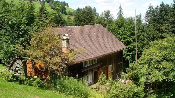 A rustic wooden house with a sloped roof, surrounded by lush greenery and trees. - Ruchweid by Interhome (Ebnat-Kappel)
