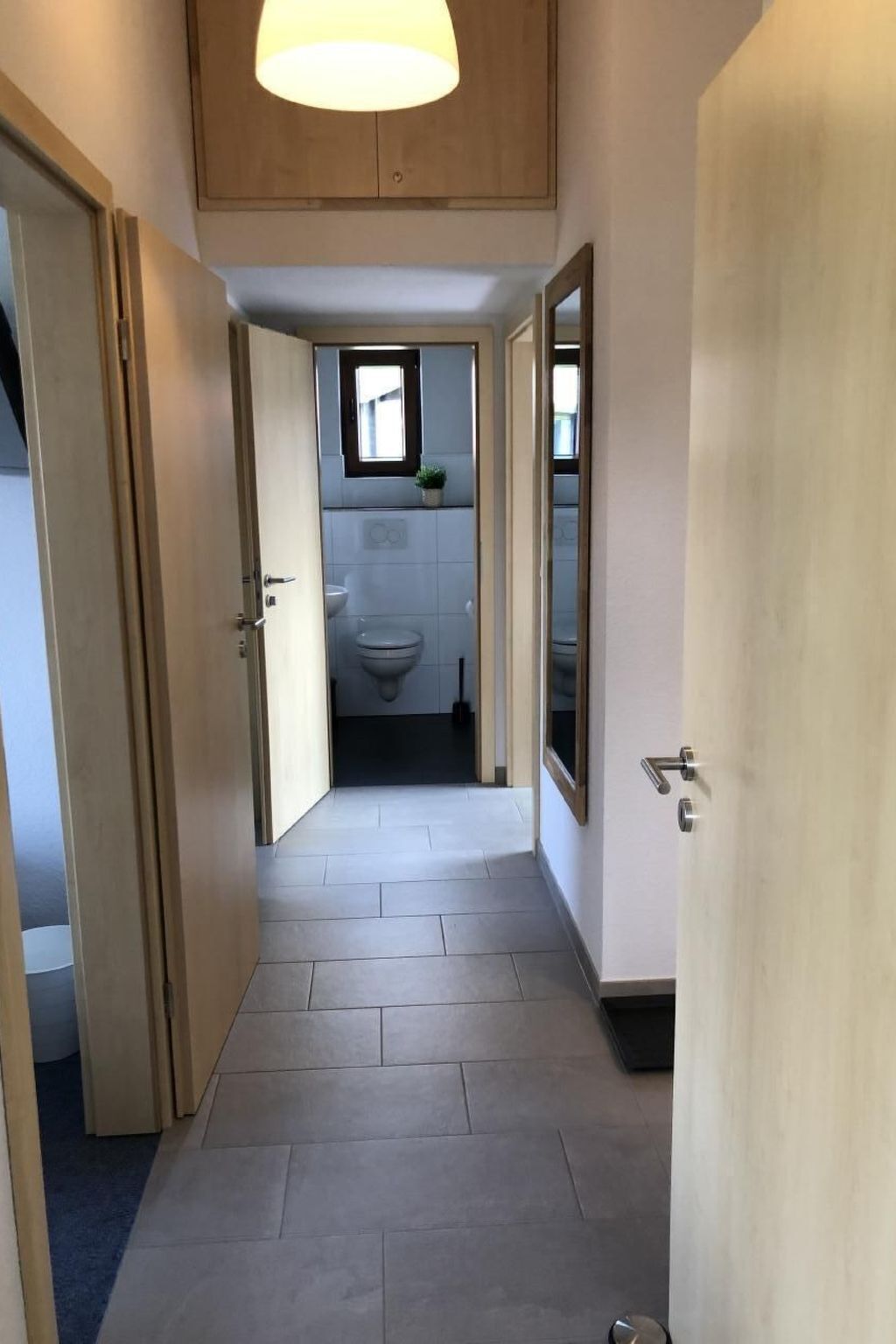A hallway leading to a bathroom with a toilet, a window, and a potted plant.