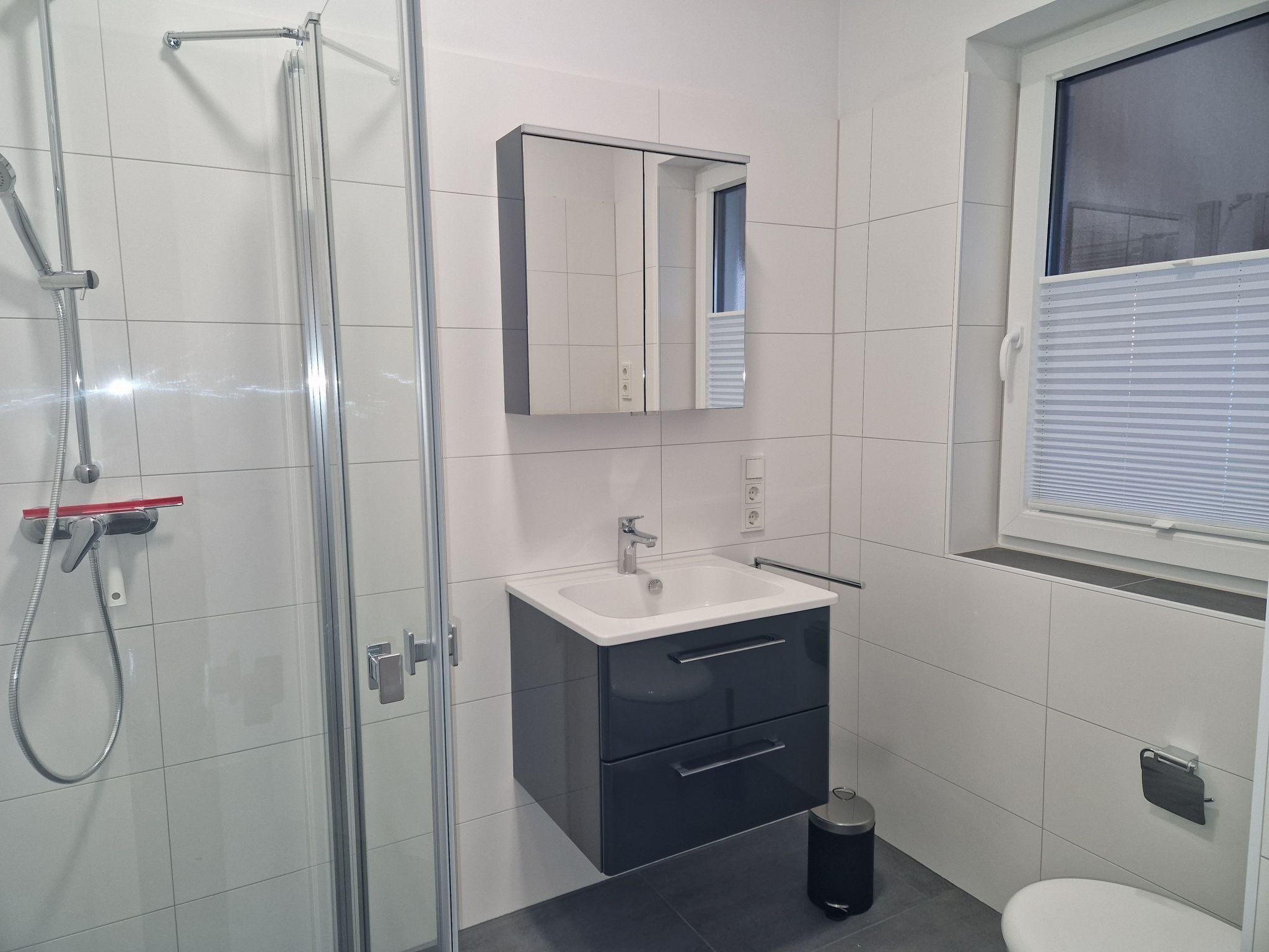 Une salle de bain moderne avec une douche à parois de verre, un lavabo blanc et un meuble sombre, ainsi que des toilettes.