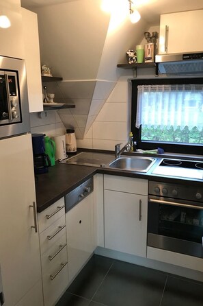 Fridge, microwave, oven, dishwasher - 1551949 by Interhome (Burhave)
