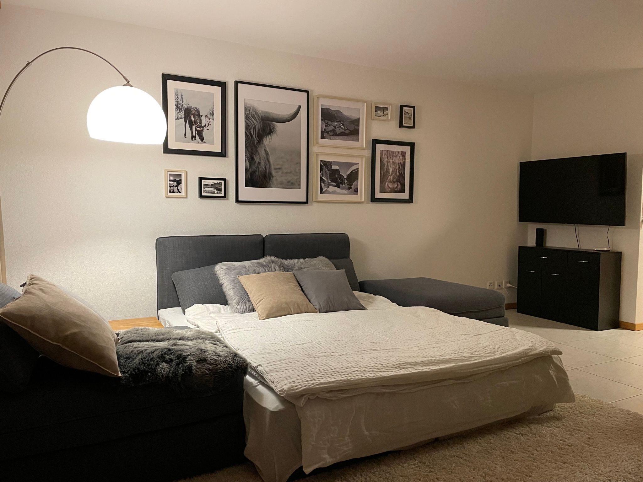 Une chambre à coucher avec un lit, un canapé, une télévision et des tableaux encadrés accrochés au mur.