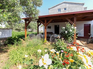 Ein Garten mit Blumen und einer Holz-Pergola.