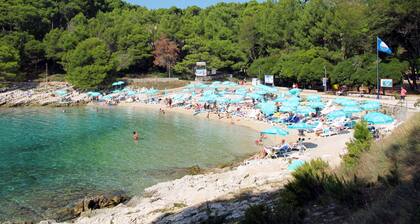 Wohnung Nika in Veli Losinj by Interhome