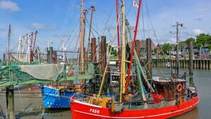 En brygga med flera fiskebåtar, inklusive en framträdande röd båt med beteckningen ”FED8”.