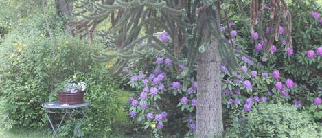 Un jardín con un árbol, flores púrpuras y una pequeña mesa con una planta en maceta.