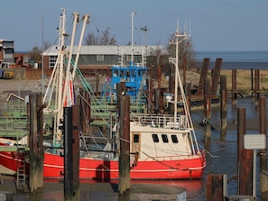 Port de plaisance
