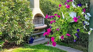 Un jardin avec un banc en pierre, un arrosoir bleu et des plantes en fleurs.