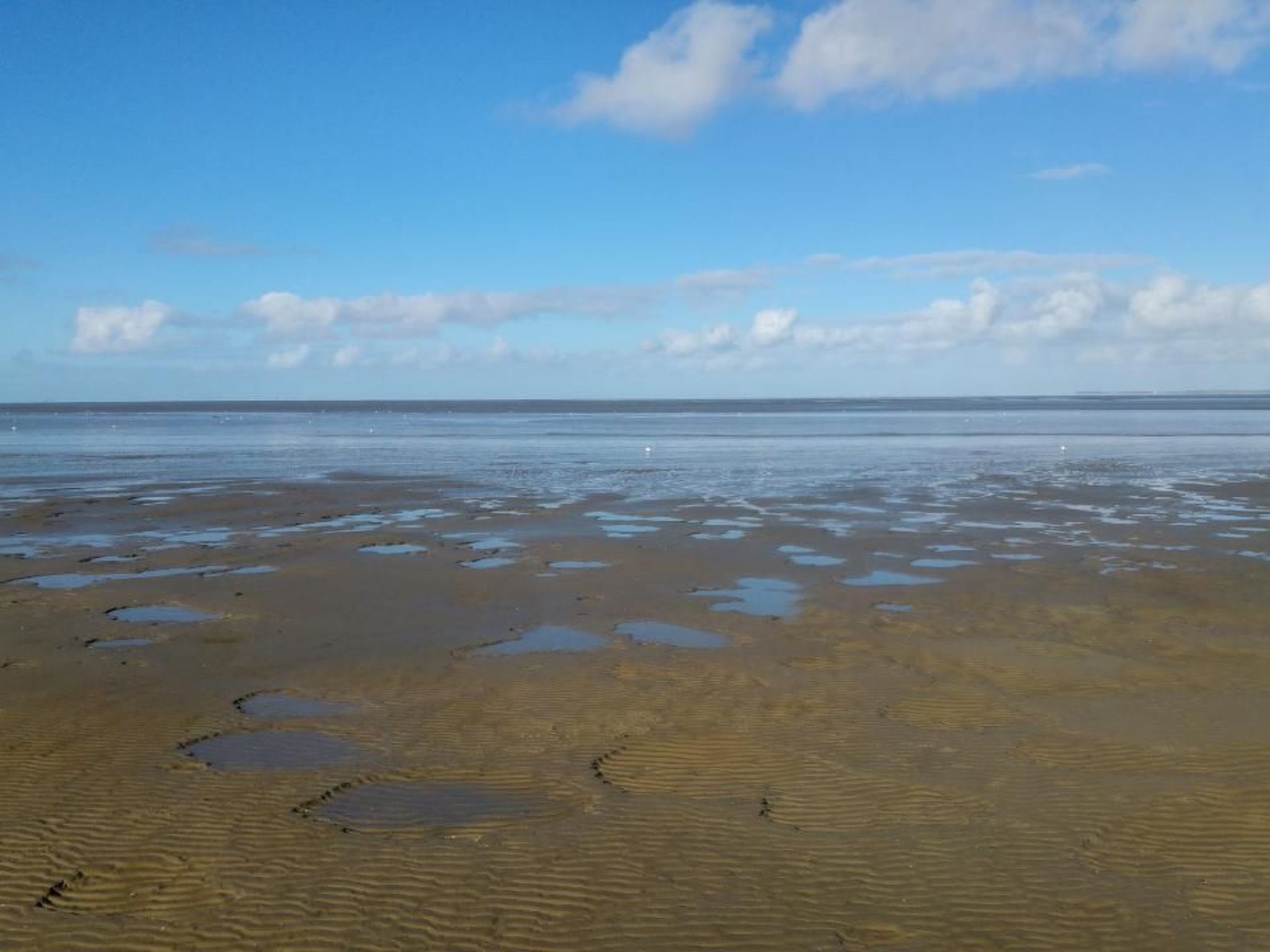 A beach with wet sand and puddles, a clear sky, and distant horizon.