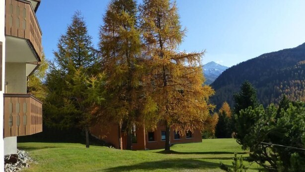 A building with a balcony, a grassy yard, and a large tree with autumn leaves. - Chesa Azalea 3 klein by Interhome (Pontresina)