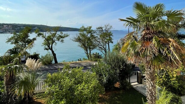 Une vue sur la côte, avec des palmiers et un ciel dégagé.