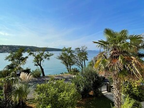 Küstensicht mit Palmen und blauem Himmel.