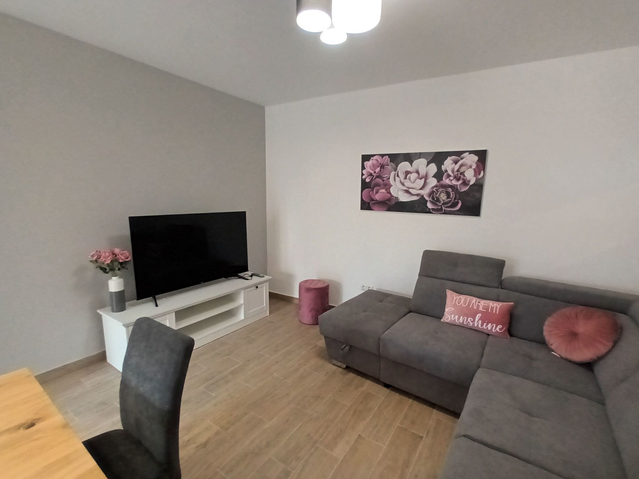 A modern living room with a flat-screen TV on a white stand, a grey sofa with a pink cushion, and a floral artwork on the wall.