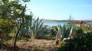 Rannikkomaisema, jossa on agave-kasveja, kirkas taivas ja taustalla näkyviä rakennuksia.