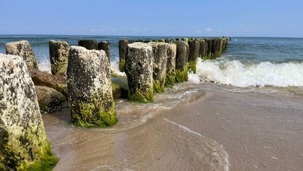 A beach with a row of large, weathered concrete posts, some covered in green algae, and waves crashing against them. - Komfortable Wohnung mit Garten, in der Nähe des Meeres by Interhome (Sarbinowo)
