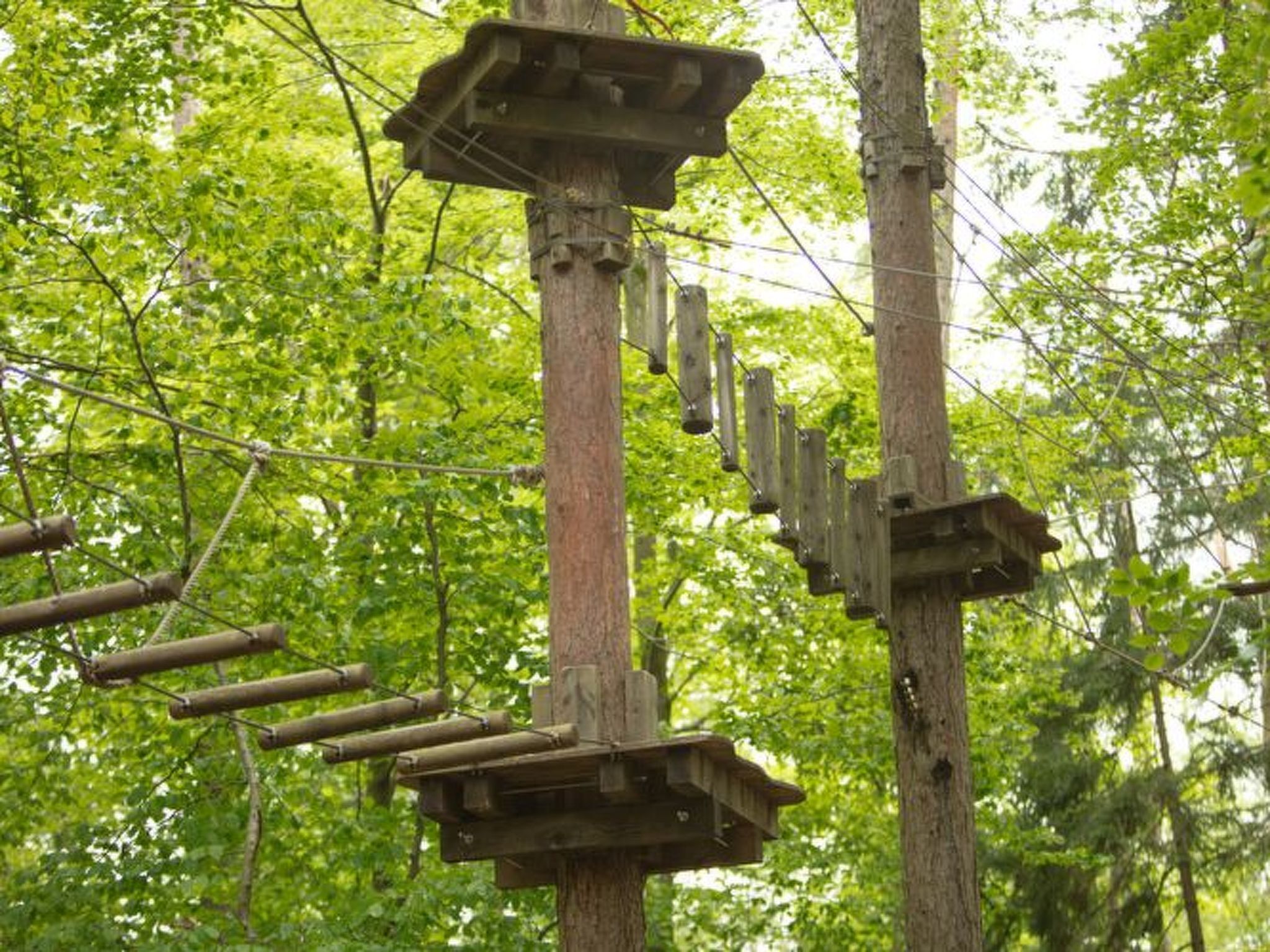 Une structure d’escalade en bois, située dans une forêt.