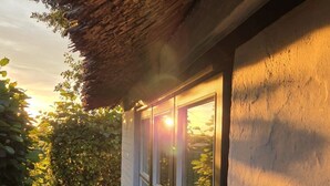 A modern building with a thatched roof and large windows. - Reetdachhaus Petra by Interhome (Helse)