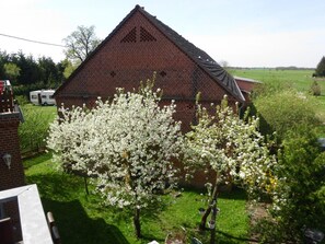 Property grounds - Apartment Rodd by Interhome (Bad Wilsnack)