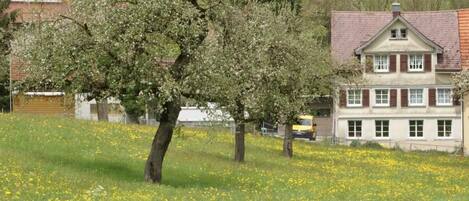 Àrea exterior de l'allotjament