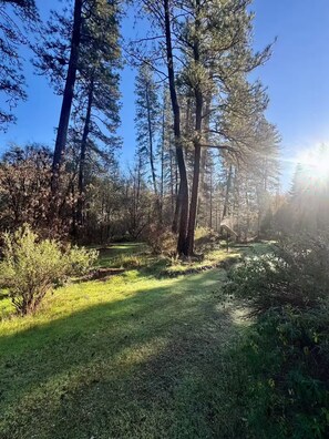 Property grounds - Your Spacious Escape: Creek, Pool, Hot Tub, Sauna in Enchanting Grass Valley (Grass Valley)