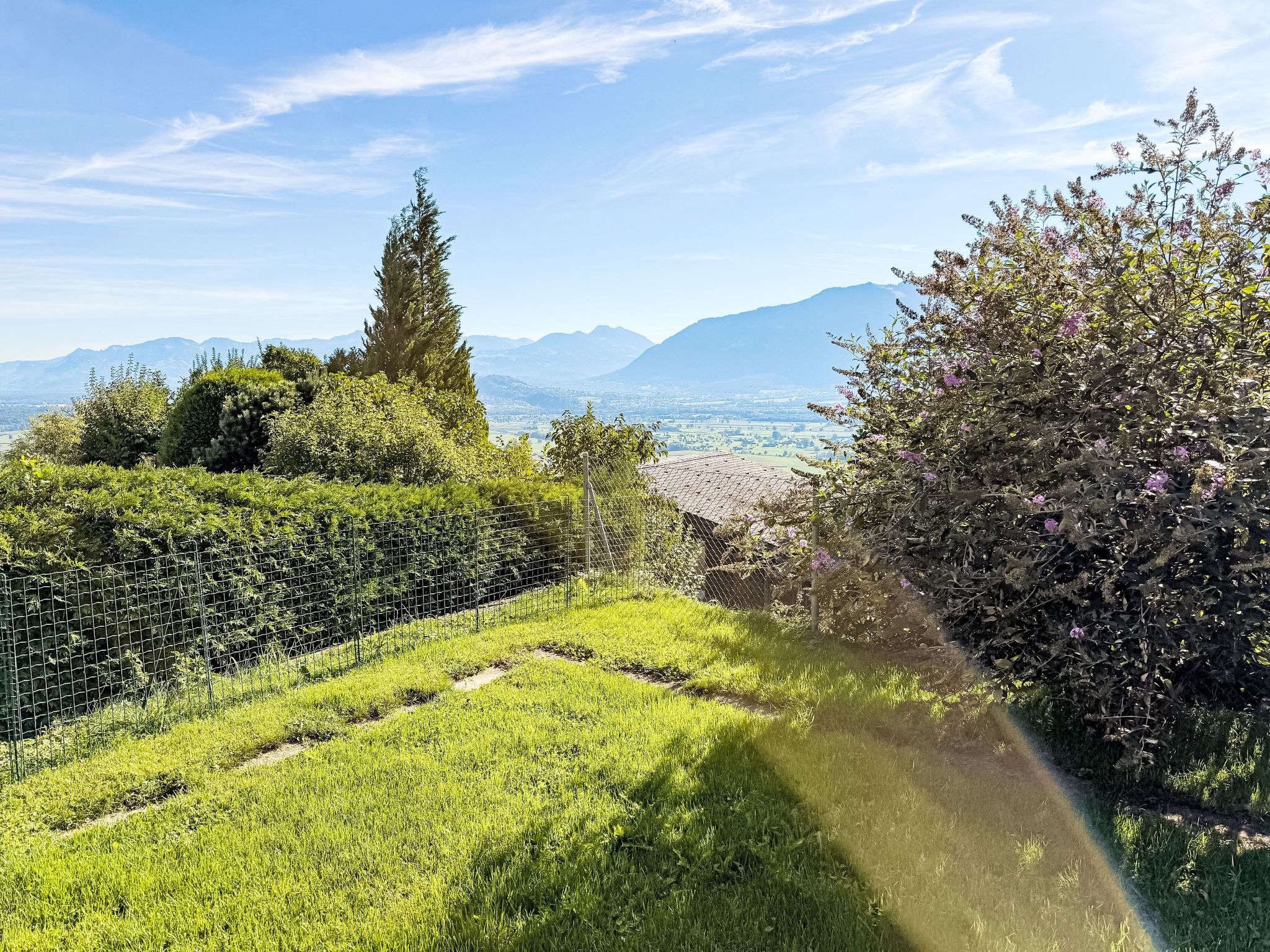 Un paysage verdoyant et luxuriant, avec une vue dégagée sur les montagnes lointaines et une zone délimitée par une clôture, avec un sentier qui la traverse.