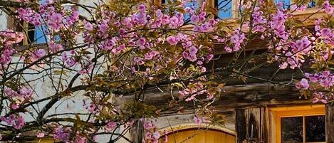 Detalle del exterior