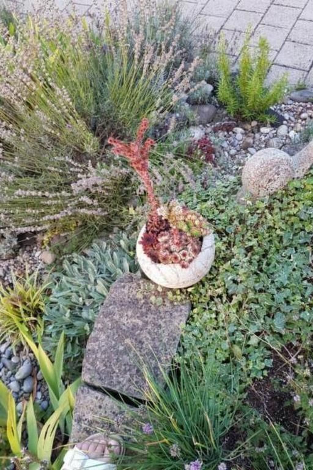 المنطقة المحيطة بالمنشأة