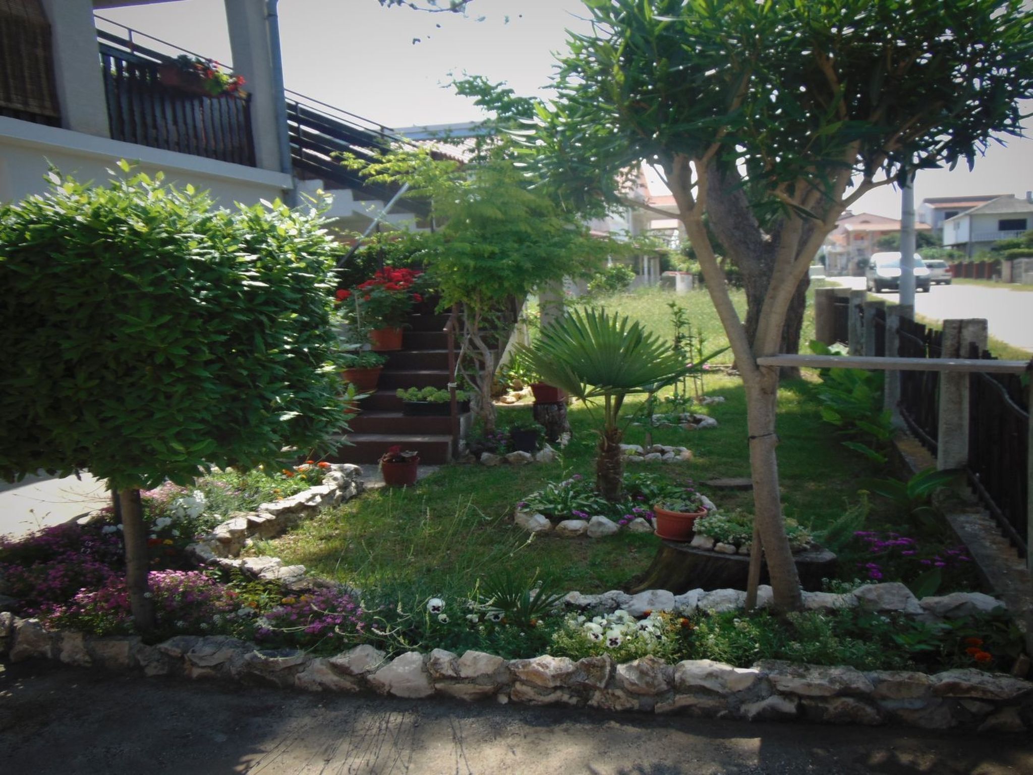 Ein Garten mit verschiedenen Pflanzen und einem Kiesweg.