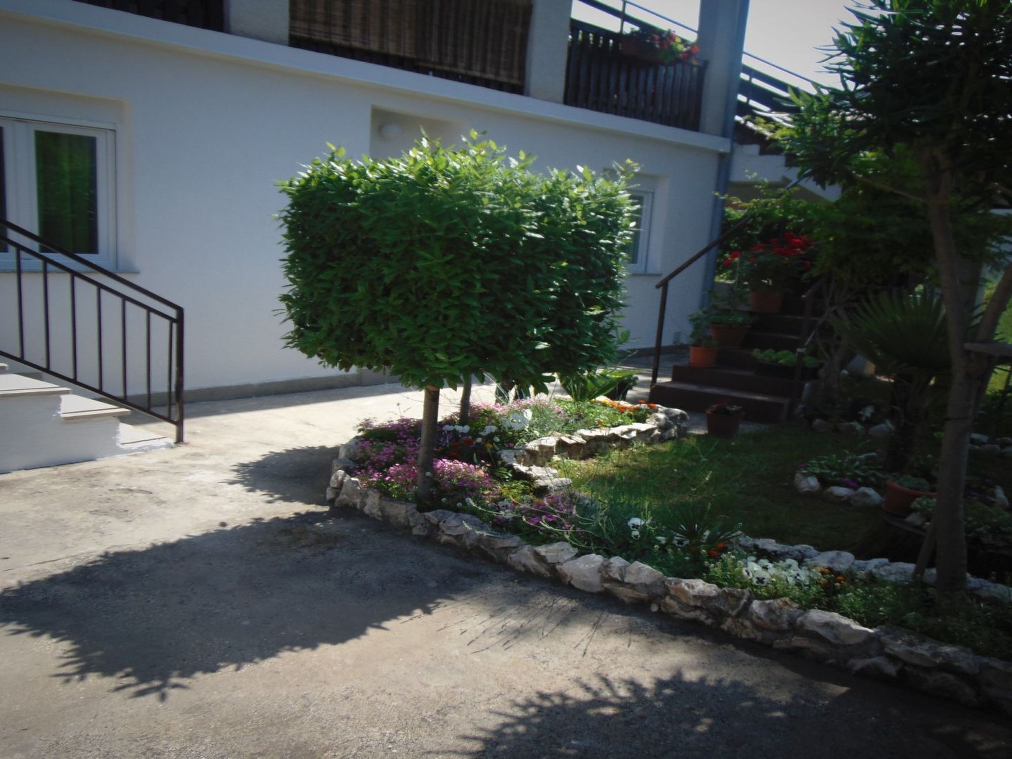 Un barrio residencial con camino de entrada pavimentado, un árbol pequeño y un borde de piedra con diversas plantas.