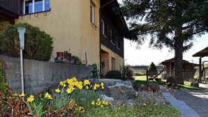 Un immeuble résidentiel avec un chemin en pierre, des jonquilles jaunes et un petit espace jardin.