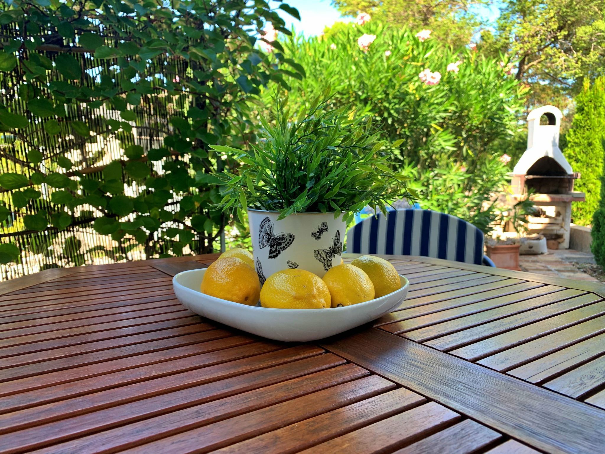 Un tavolo di legno con una ciotola bianca piena di limoni e una pianta in vaso decorata con motivi a farfalla.