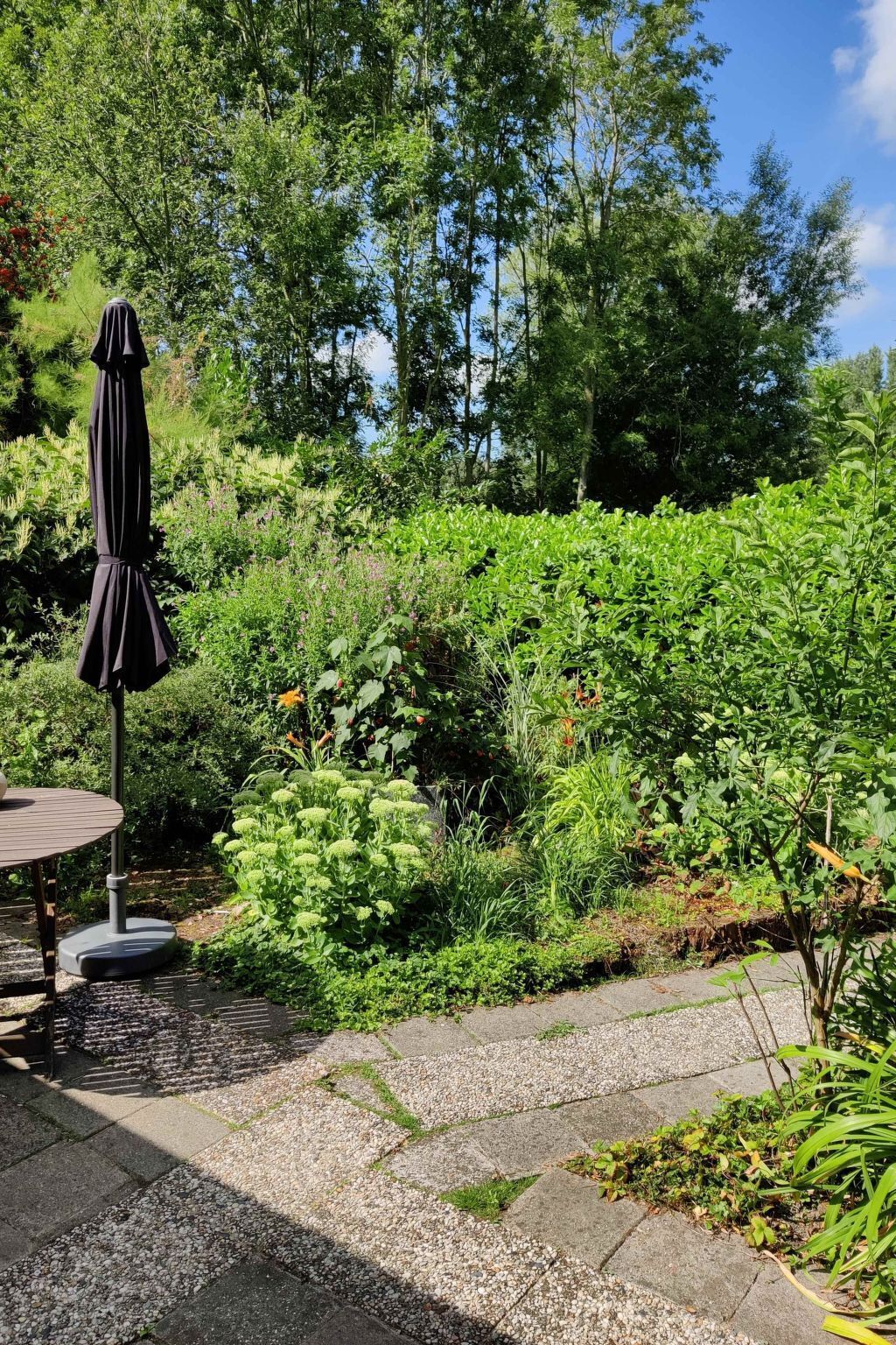 Áreas de la propiedad