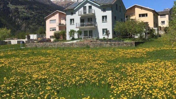 Un immeuble à plusieurs étages, doté de balcons, se dressant sur fond de montagnes enneigées et d’un champ de fleurs jaunes.