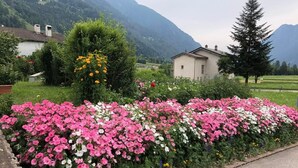 Un parterre de fleurs aux couleurs rose et blanche, un petit bâtiment et une montagne en arrière-plan.