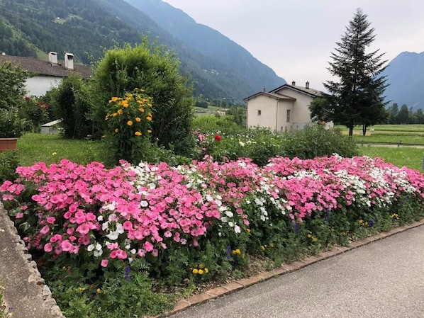 Áreas de la propiedad