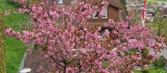 Charmantes Chalet Apartment mit Aussicht by Interhome