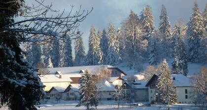 Chalet Mon Désir Lajoux by Interhome