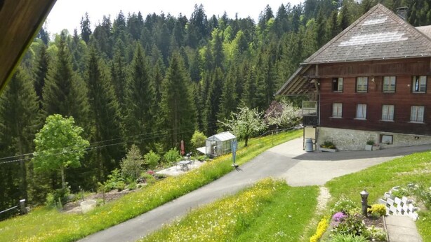 Ein ländliches Gebäude mit Schrägdach, umgeben von Wald und einem gepflegten Garten mit verschiedenen Pflanzen und Blumen.