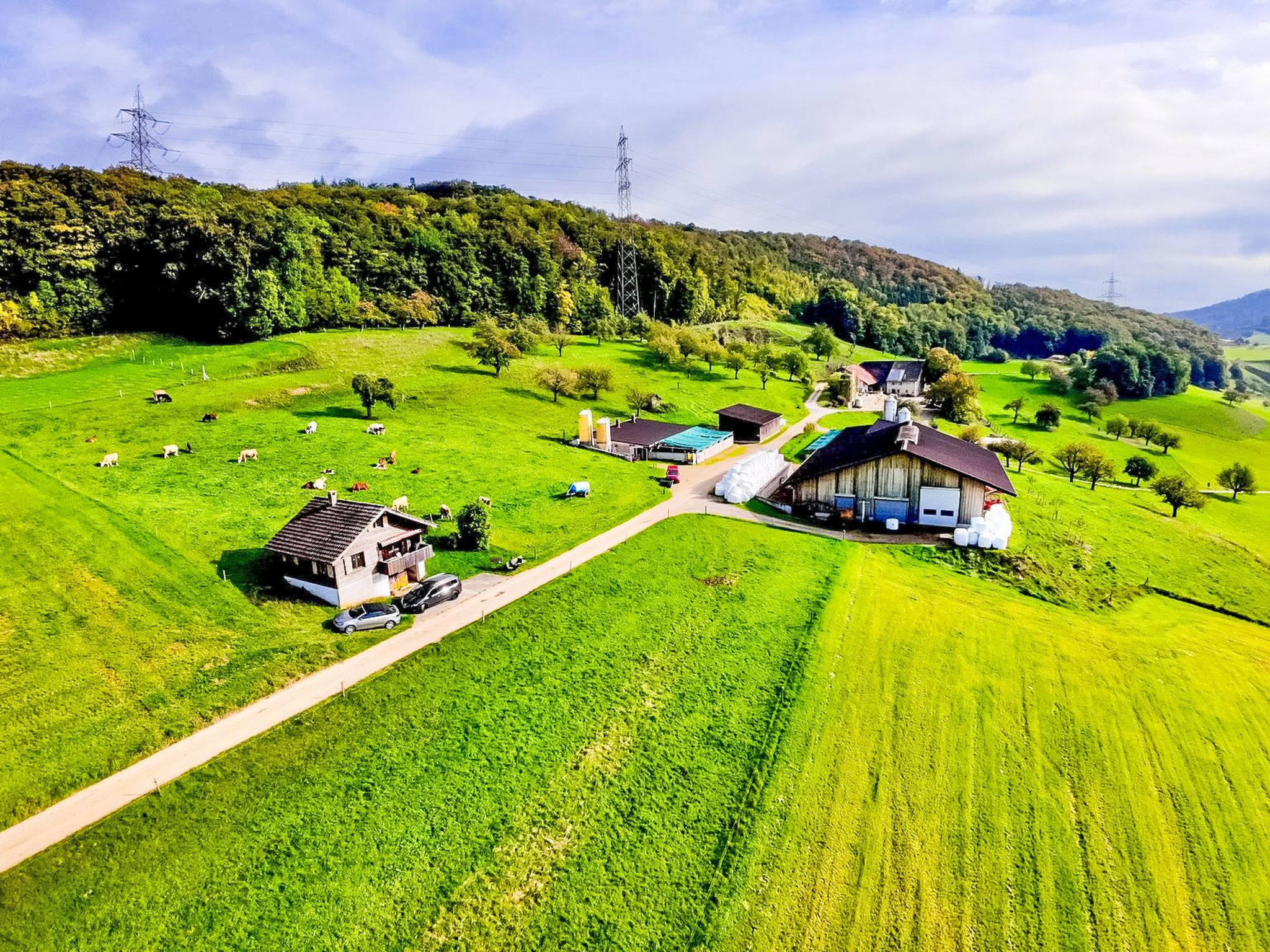 A rural landscape with a barn, a small house, and grazing animals.
