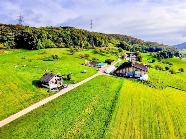 Paisaje rural con un granero, una casa pequeña y animales pastando.