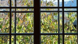 A window with a view of a tree with green and yellow leaves, a wooden fence, and a distant landscape with hills. - Haus Walli-Simmen, Wohnung 2 by Interhome (Fideris)