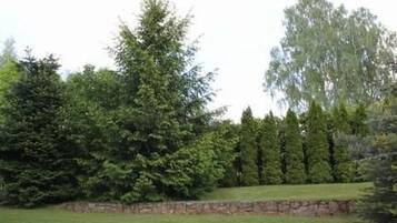 Área da propriedade